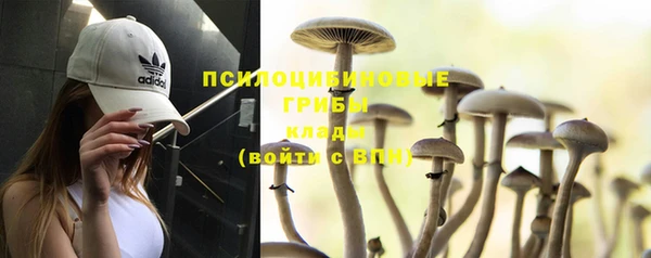 mdma Богданович